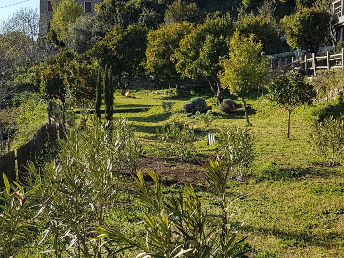 La Villa Guidi Pila-Canale Eksteriør bilde