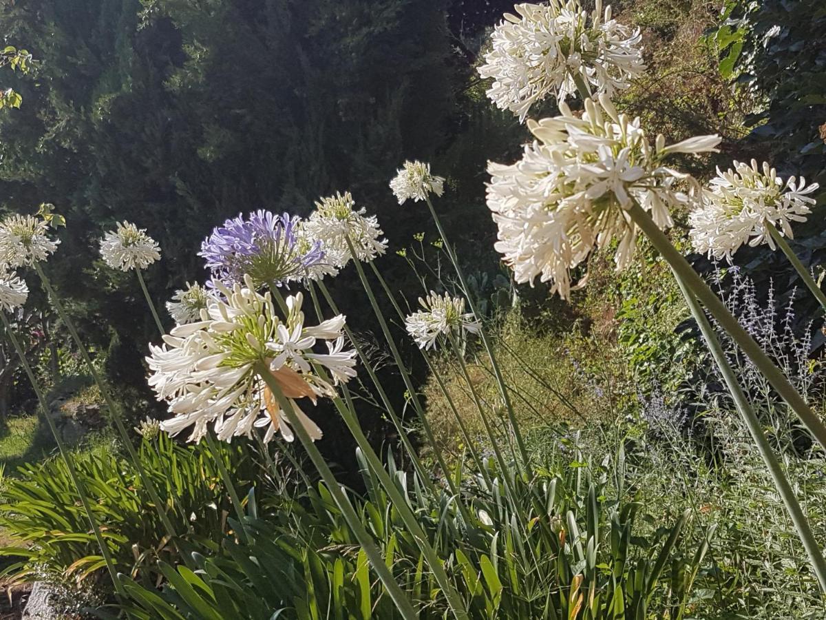 La Villa Guidi Pila-Canale Eksteriør bilde
