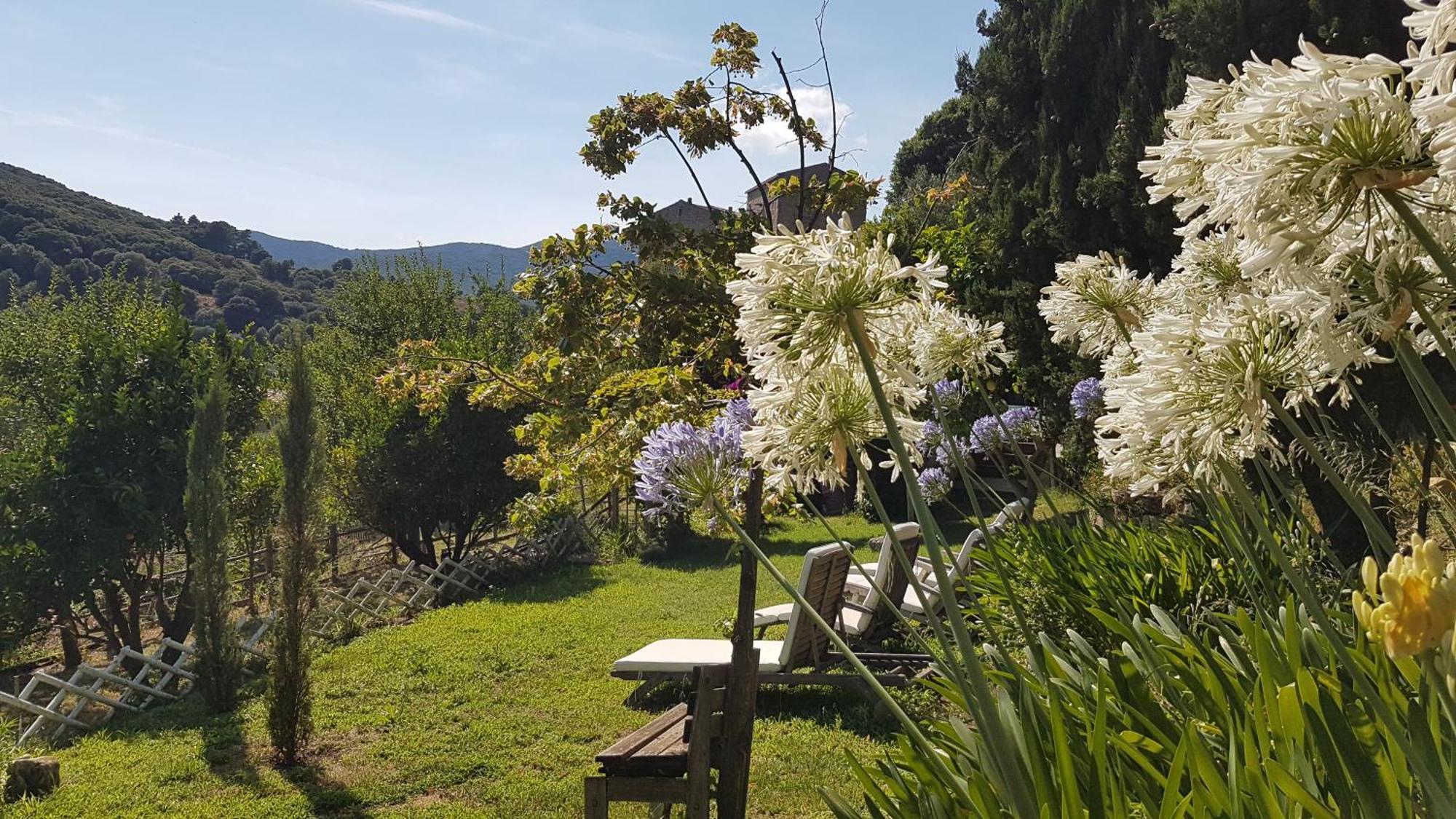 La Villa Guidi Pila-Canale Eksteriør bilde